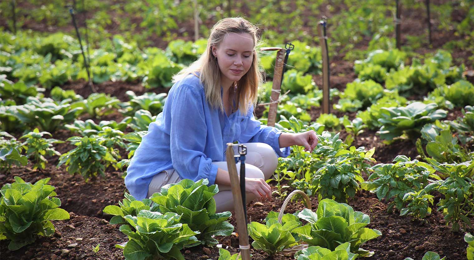 research on organic farming