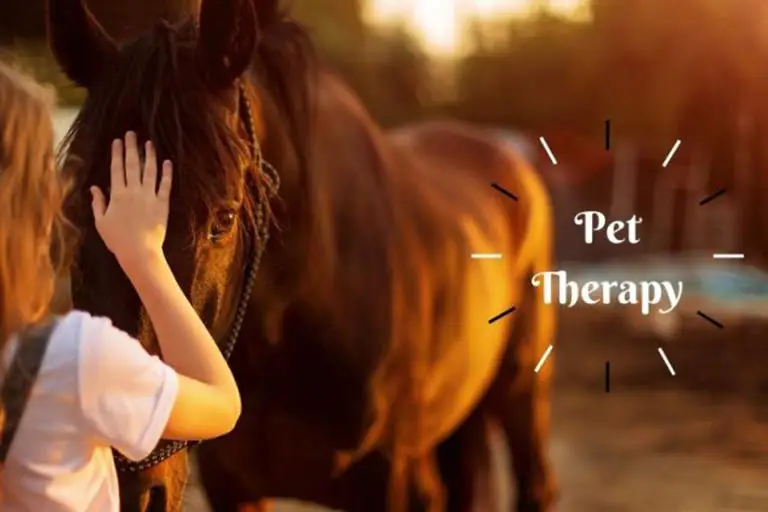 Pet Therapy 768x422 1