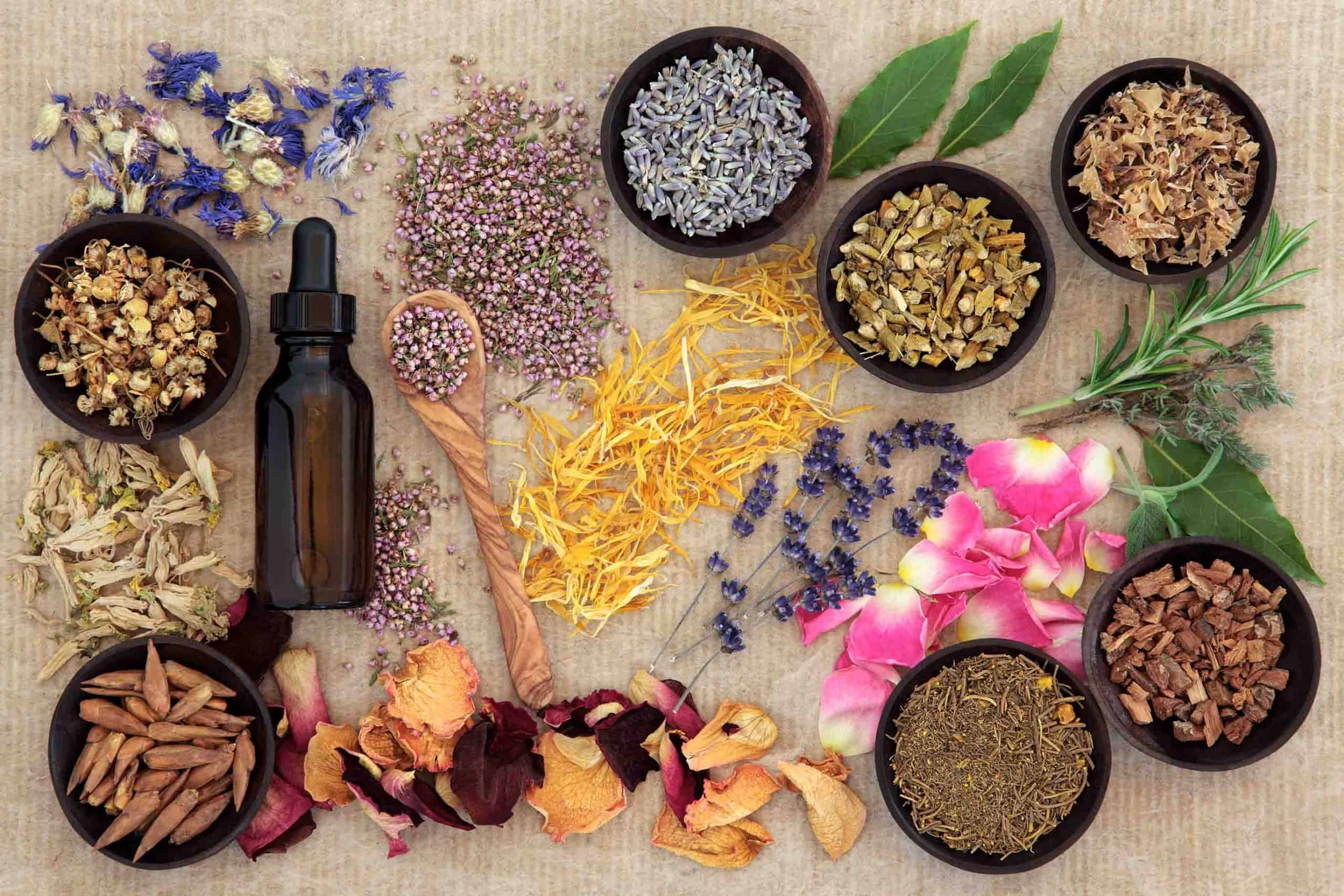 Herbal Remedies and Treatments scaled